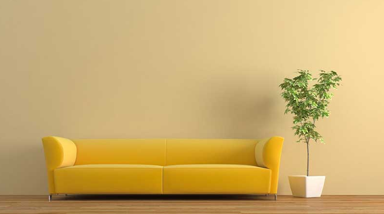 Tường màu vàng chọn sofa màu vàng cũng là giải pháp tuyệt vời