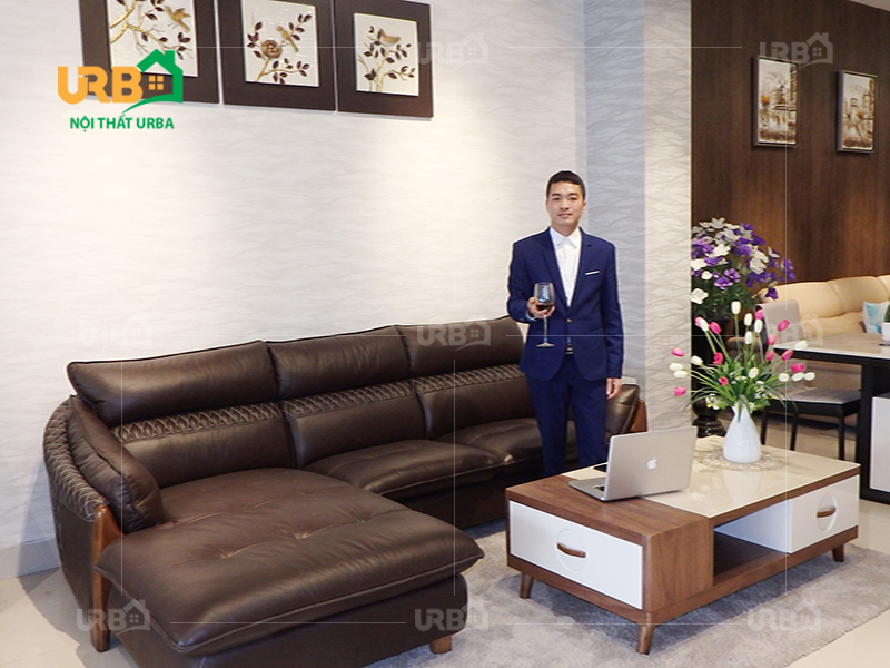 Phòng khách nào bạn nên mua ghế sofa da nhập khẩu phù hợp nhất3